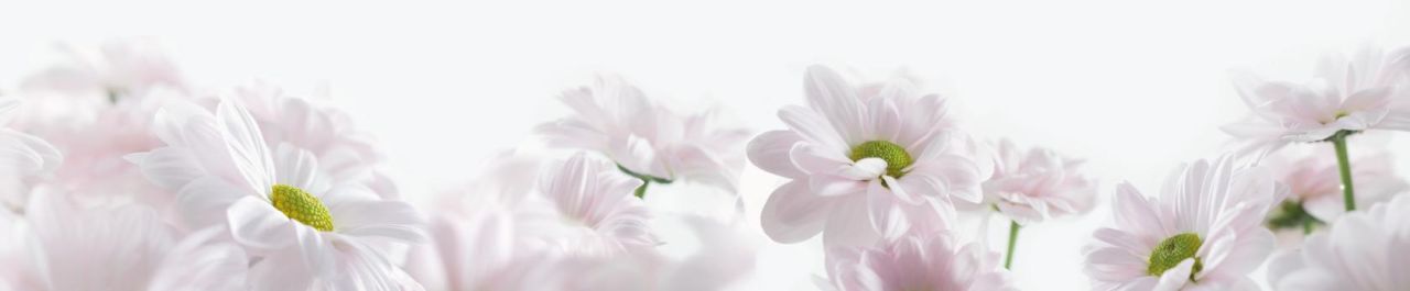 Décor flower design 435