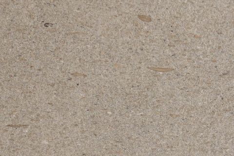 Naturali Arenaria Fossile