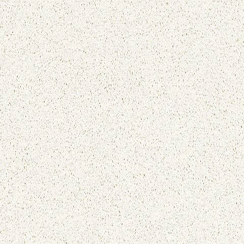 White Storm