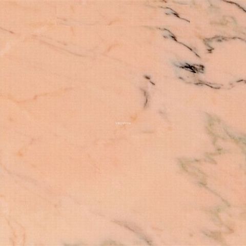 Rosa Portogalo Typ I